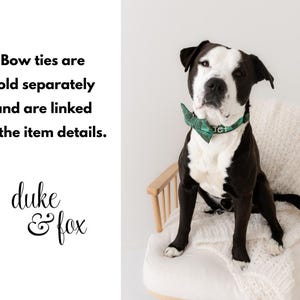 May include: A black and white dog wearing a green bow tie and collar with the name "Jet". The dog is sitting on a white chair with a white blanket. The text "duke & fox" is in the bottom left corner.