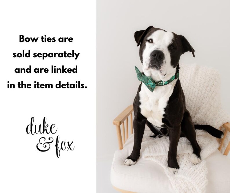 May include: A black and white dog wearing a green bow tie and collar with the name "Jet". The dog is sitting on a white chair with a white blanket. The text "duke & fox" is in the bottom left corner.