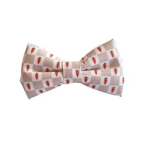 Carrots Dog Collar Bow Tie