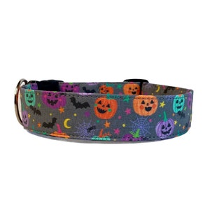 May include: A Halloween-themed dog collar with a gray background and a repeating pattern of jack-o'-lanterns, bats, stars, and spiderwebs in orange, purple, green, and other colors. The collar has a metal D-ring and a black buckle.