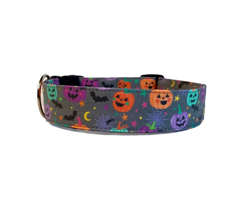 May include: A Halloween-themed dog collar with a gray background and a repeating pattern of jack-o'-lanterns, bats, stars, and spiderwebs in orange, purple, green, and other colors. The collar has a metal D-ring and a black buckle.