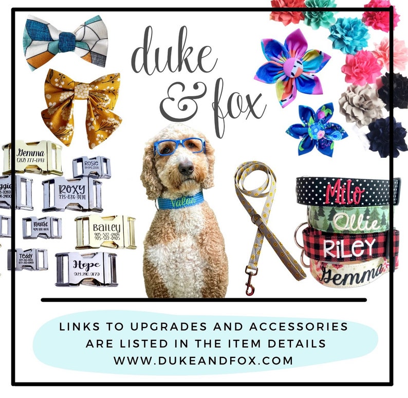 Add the Perfect Finishing Touch
Complete your Duke & Fox® personalized dog collar with matching accessories that show off your pup’s personality. Choose from handcrafted bow ties, fabric flowers, and coordinating leashes made in Tennessee. Designed for everyday wear and special occasions, our stylish add-ons combine durability, comfort, and charm—perfect for dogs of all sizes.