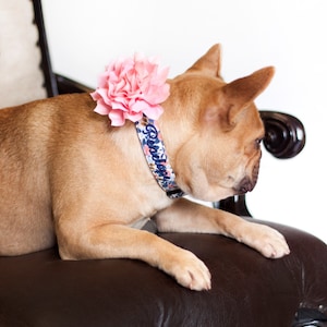ChatGPT said:

This Duke & Fox® personalized dog collar features a floral fabric design embroidered with your pup’s name, paired perfectly with a detachable pink flower accessory. Handmade in Tennessee, it combines durability, comfort, and charm—ideal for everyday wear or special occasions. Add a matching flower to create a complete, stylish look for your dog.