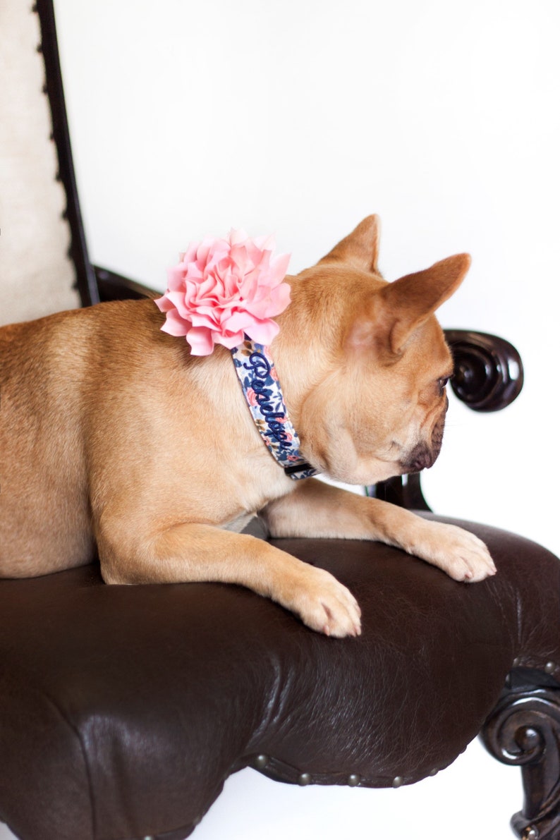 ChatGPT said:

This Duke & Fox® personalized dog collar features a floral fabric design embroidered with your pup’s name, paired perfectly with a detachable pink flower accessory. Handmade in Tennessee, it combines durability, comfort, and charm—ideal for everyday wear or special occasions. Add a matching flower to create a complete, stylish look for your dog.