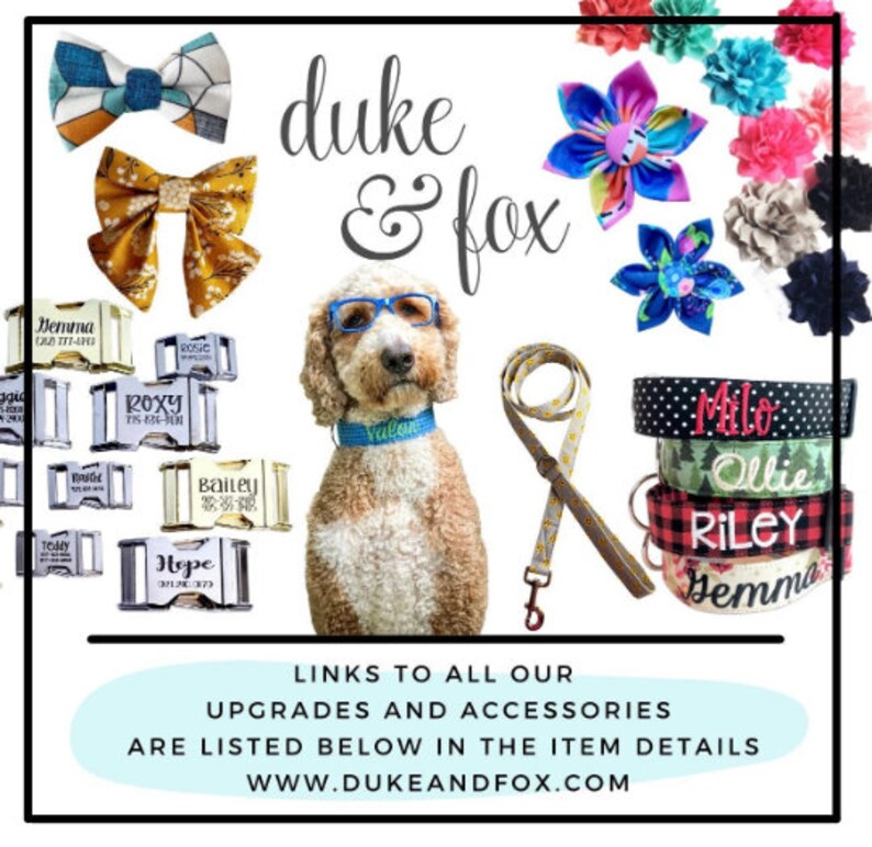 May include: A collection of dog accessories, including bow ties, flower accents, personalized collars, and a leash. The image features a dog wearing a blue collar and glasses, with the brand name "duke & fox" displayed.