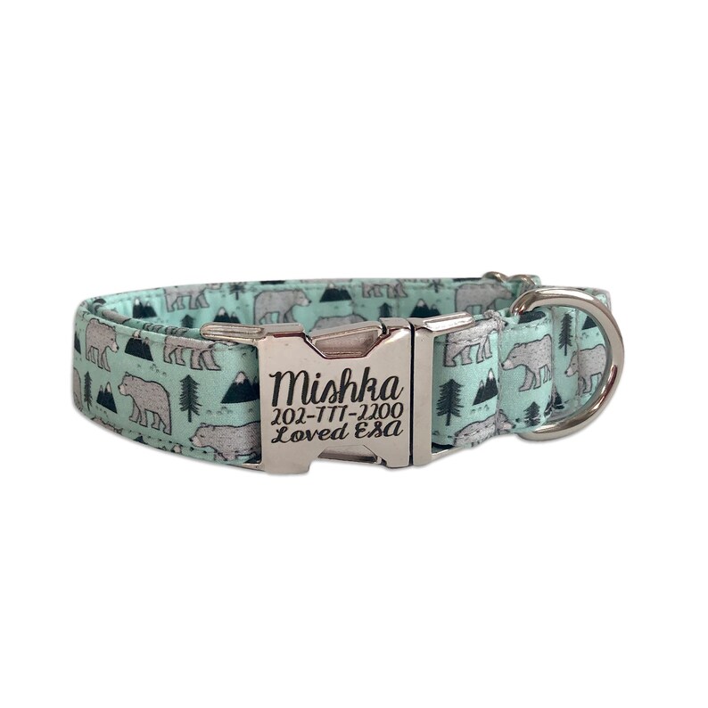 Mint Bear Engraved Dog Collar Engraved Buckle Dog Collar Etsy