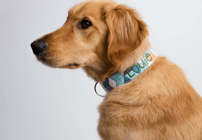 Fall Collar, Embroidered Dog Collar, Personalized Dog Collar, Geometric Dog Collar, Collar, Polka Dot Collar, Engraved Collar, Dog Collars image 6