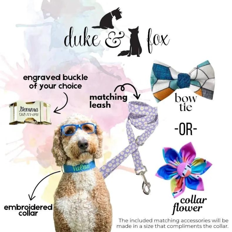 May include: A dog wearing blue glasses and a blue embroidered collar, accompanied by a daisy-patterned leash, a geometric-patterned bow tie, a multi-colored floral collar flower, and a gold-toned metal buckle engraved with the name Gemma.