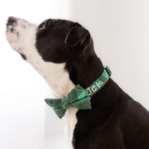 May include: A black and white dog wearing a green collar and bow tie. The collar is embroidered with the name "Jet" in white. The bow tie and collar have a geometric pattern.