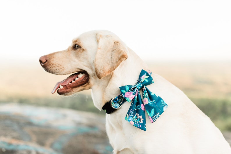Bow for Dog Collar Girly Bow Tie for Dog Collar Dog Collar Etsy