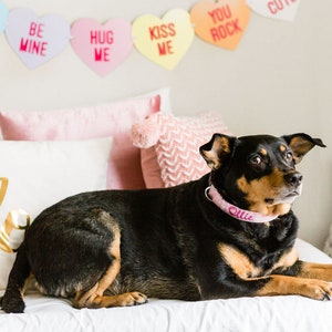 Valentines Dog Collar, Embroidered Dog Collar, Personalized Dog Collar, Heart Dog Collar, pink dog Collar, Personalized Collar