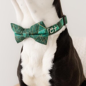 May include: A green and gold geometric patterned dog collar and bow tie set. The collar has the name "ret" embroidered in white. The bow tie is a matching green with gold accents. The dog's fur is black and white.