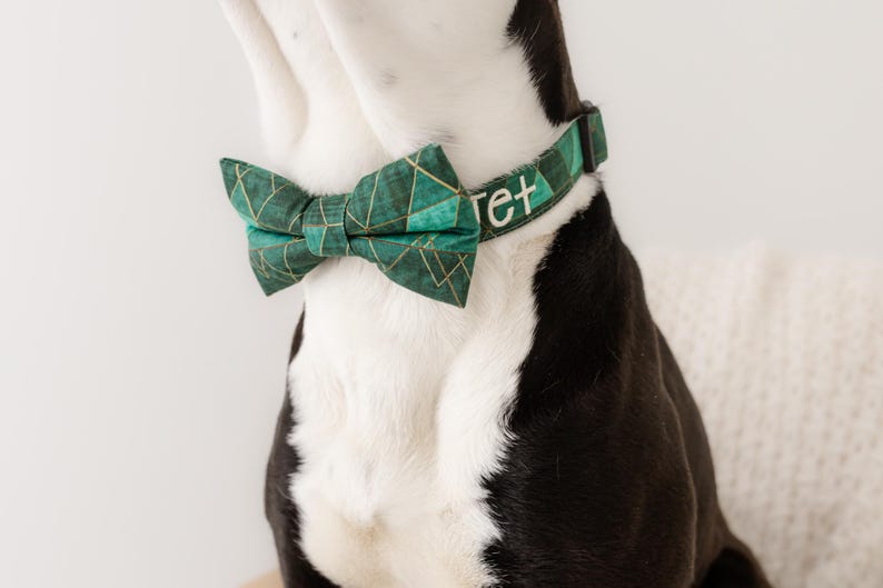 May include: A green and gold geometric patterned dog collar and bow tie set. The collar has the name "ret" embroidered in white. The bow tie is a matching green with gold accents. The dog's fur is black and white.