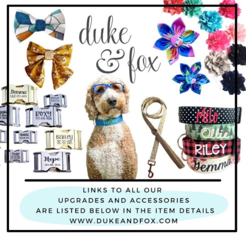 May include: A selection of dog accessories, such as bow ties, flower decorations, personalised collars, and a lead. The image shows a dog wearing a blue collar and glasses, with the brand name "duke & fox".