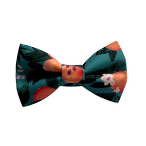 Clementine Bow tie, Citrus Dog Bowtie, Dog Bow Tie, Dog Collar Bow Tie, Dog Bow Tie, Collar bow tie, bowtie for collar, bow tie for collar