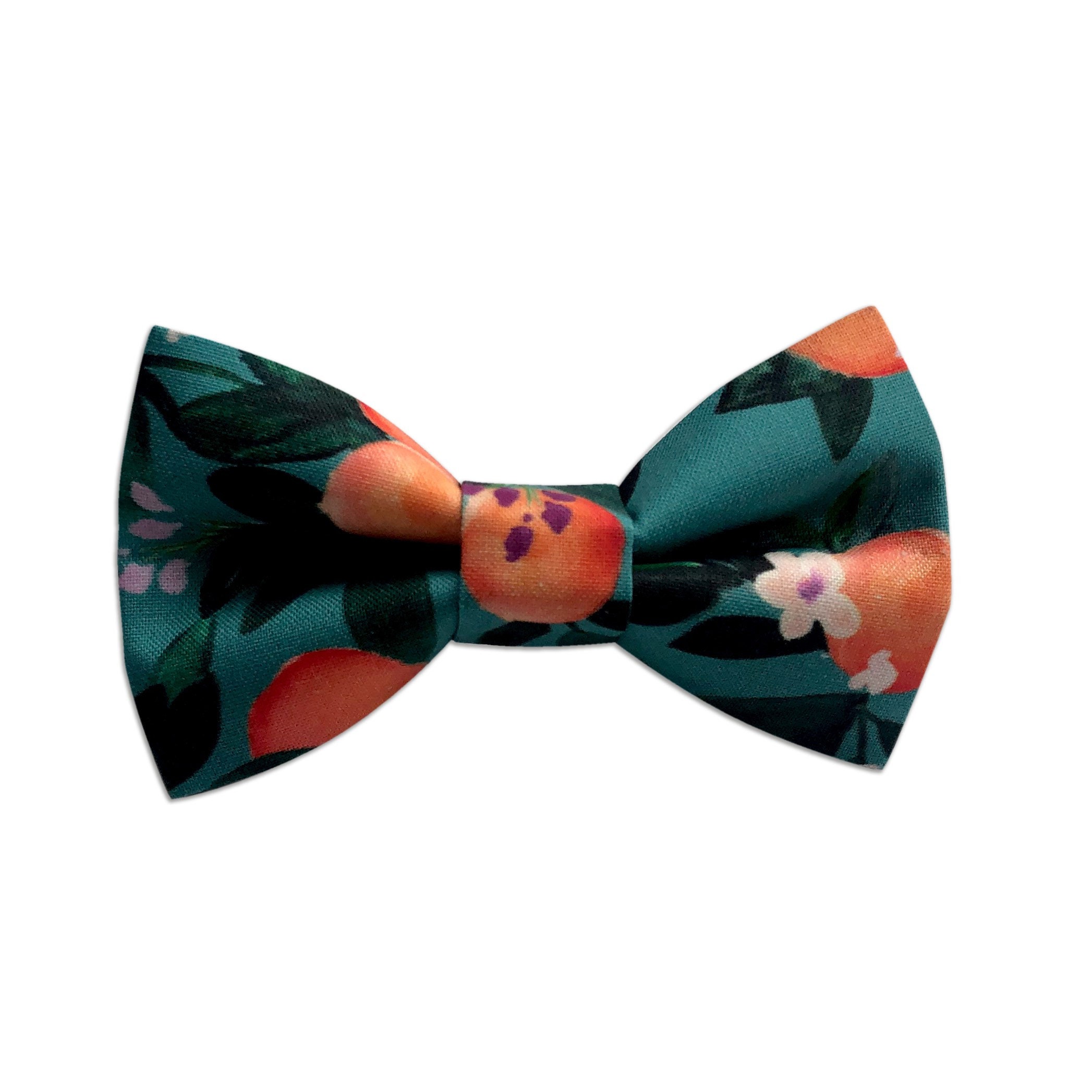 Clementine Bow tie Citrus Dog Bowtie Dog Bow Tie Dog Collar | Etsy