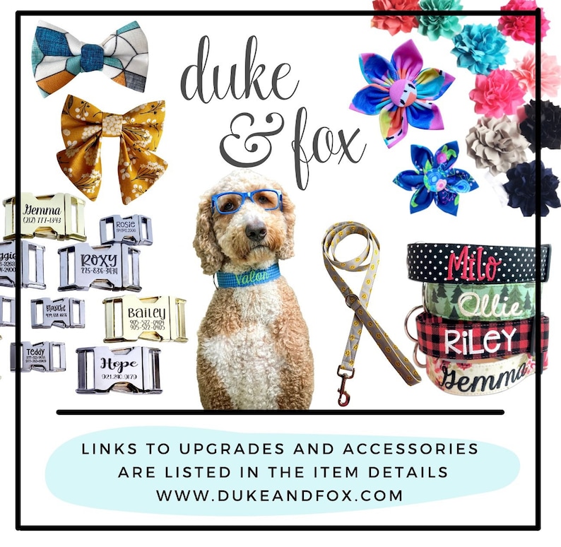 Add the Perfect Finishing Touch
Complete your Duke & Fox® personalized dog collar with matching accessories that show off your pup’s personality. Choose from handcrafted bow ties, fabric flowers, and coordinating leashes made in Tennessee. Designed for everyday wear and special occasions, our stylish add-ons combine durability, comfort, and charm—perfect for dogs of all sizes.