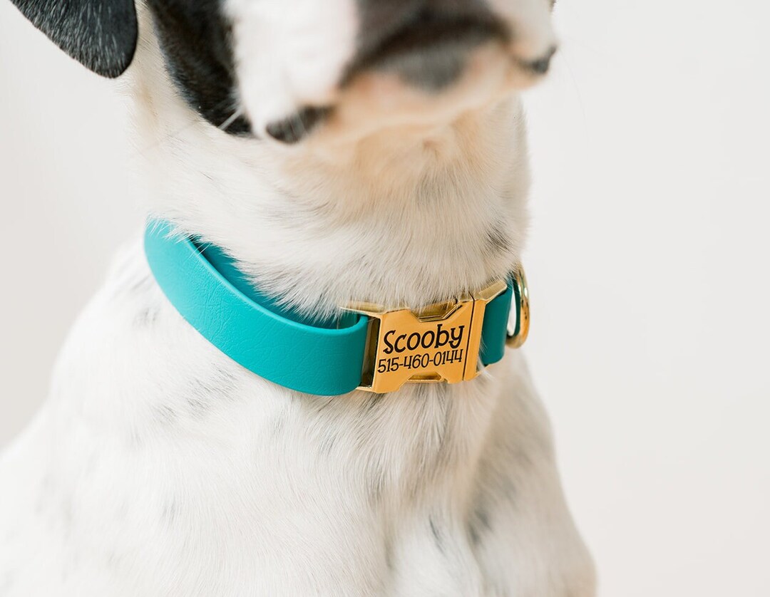 Biothane Dog Collar, Waterproof Collar, Personalized Dog Collar