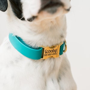 Biothane Dog Collar, Waterproof Collar, Personalized Dog Collar, Hunting Dog Collar, Durable Dog Collar, Custom Dog Tag, Outdoor Dog Collar