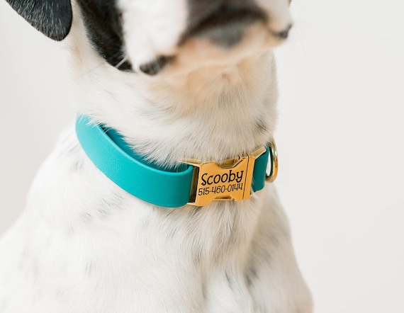 Custom hunting top dog collars