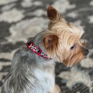May include: A small dog with tan and grey fur wearing a red and black buffalo plaid collar. The collar features white embroidered text that reads Max 903. The dog is viewed from the side, showing its pointed ears and long facial hair.
