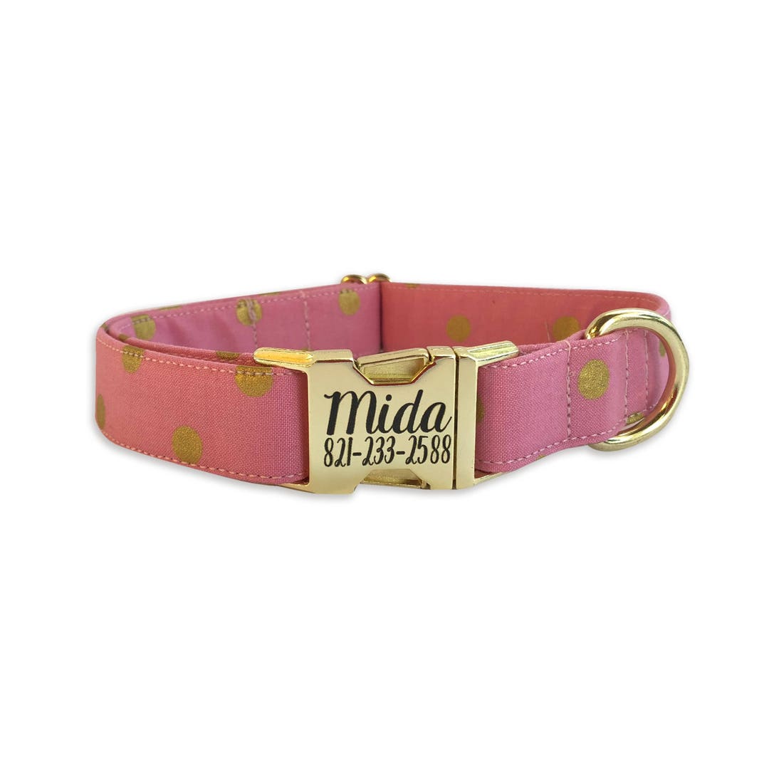 Engraved Dog Collar, Engraved Buckle Dog Collar, Personalized Dog