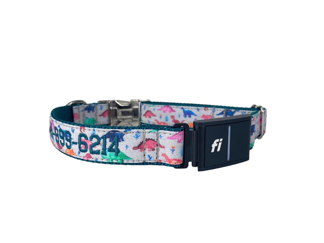 Series 3 Fi Dog Collar Compatible Collar, Embroidered Fi Dog Collar