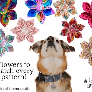 Complete your pet’s look with matching fabric flowers from Duke & Fox®. Each flower is handcrafted in Tennessee to coordinate perfectly with our custom dog collars. Designed with secure Velcro attachments, they stay in place while adding a touch of charm and personality. Choose from a variety of patterns to match every season and style.