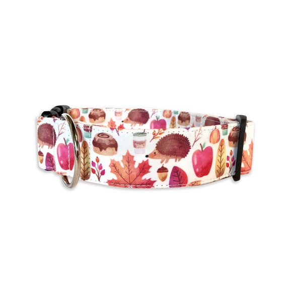 fall dog collar