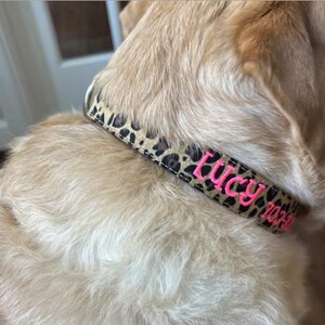 May include: A pet collar featuring a tan and black leopard print pattern. The collar is personalized with the name Lucy and a phone number embroidered in bright pink thread. A silver metal D-ring is attached to the side of the collar.