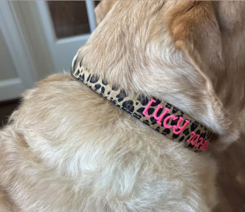 May include: A pet collar featuring a tan and black leopard print pattern. The collar is personalized with the name Lucy and a phone number embroidered in bright pink thread. A silver metal D-ring is attached to the side of the collar.