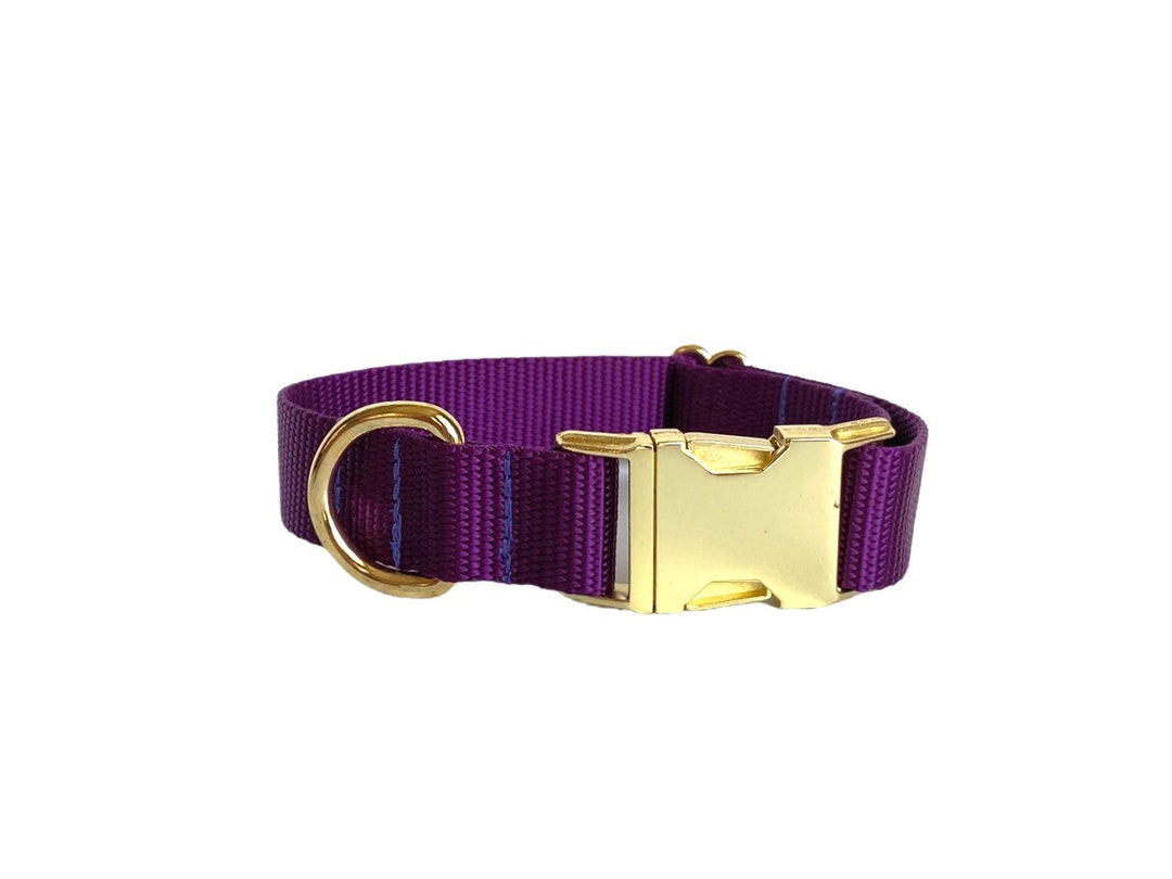 Purple Dog Collar With Gold Buckle, Dog Collar, Custom Dog Collar Etsy