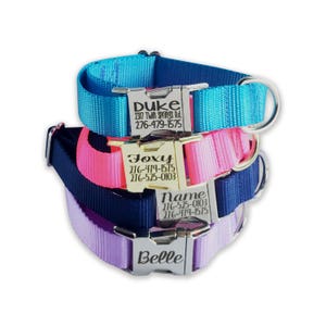 Personalized Dog Collar, Engraved Buckle Dog Collar, Dog Collar for large dog , Dog Collar for small dog , Collar, All Metal Hardware
