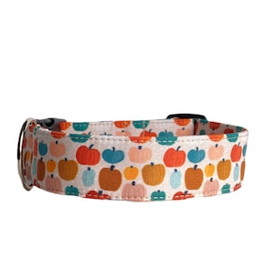 Fall Dog Collar, Pumpkin Dog Collar, Autumn Dog Collar, Embroidered Dog Collar, Engraved Dog Collar, Personalized Dog Collar, Custom
