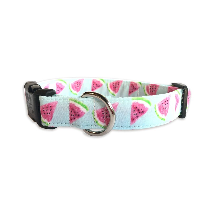 Aqua Watermelon Dog Collar Embroidered Dog Collar Etsy