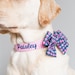 see more listings in the Custom Dog Collars  section