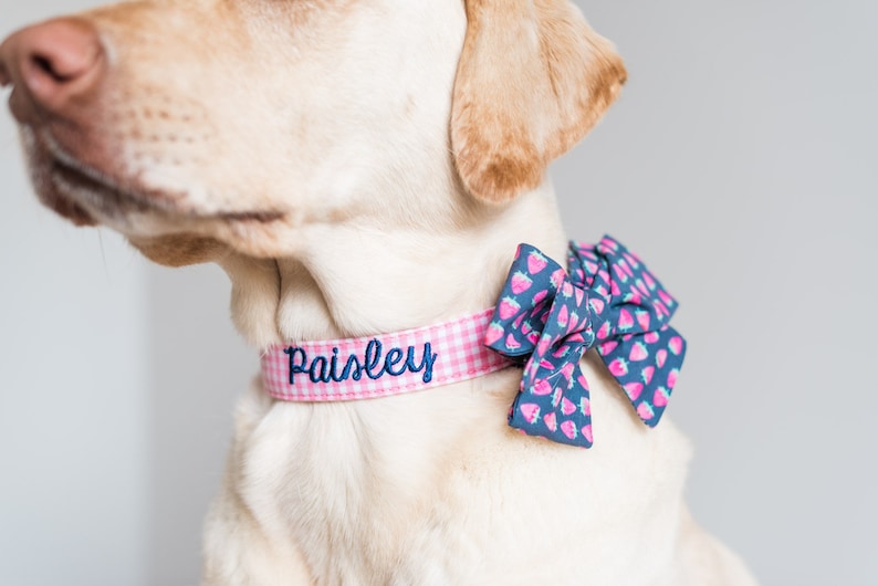 Add a touch of charm with the Duke & Fox® Pink Gingham Dog Collar. Handmade in Tennessee, this sweet pink checkered collar is perfect for any stylish pup. Personalize it with custom embroidery to feature your dog’s name for a one-of-a-kind look. Crafted with durable materials and quality hardware, it’s designed for comfort and everyday wear.