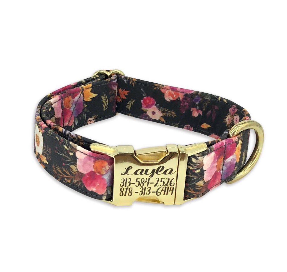 Engraved Dog Collar Engraved Buckle Dog Collar Personalized Etsy