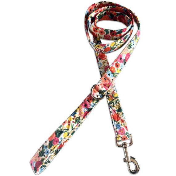 4 foot best sale leash