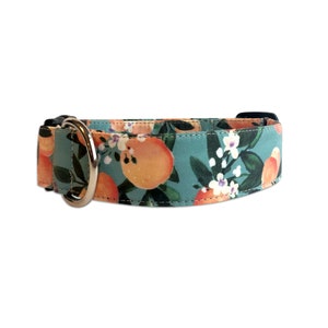 May include: A teal blue dog collar with a pattern of orange citrus fruit and white flowers.