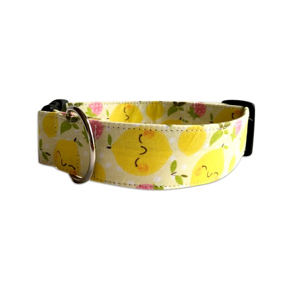 Lemon Dog Collar, Lemonade Dog Collar, Summer Dog Collar, Citrus Dog Collar, Embroidered Collar, Engraved collar, Personalized Dog Collar