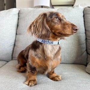 Classic charm meets everyday comfort with this blue gingham personalized collar from Duke & Fox®. Handmade with care, this timeless design adds a touch of sophistication while keeping things sweet and simple. The soft fabric and custom embroidery make it a perfect fit for stylish pets and their owners who love a clean, polished look. Ideal for daily wear, this collar combines durability, comfort, and personality in one adorable accessory.
