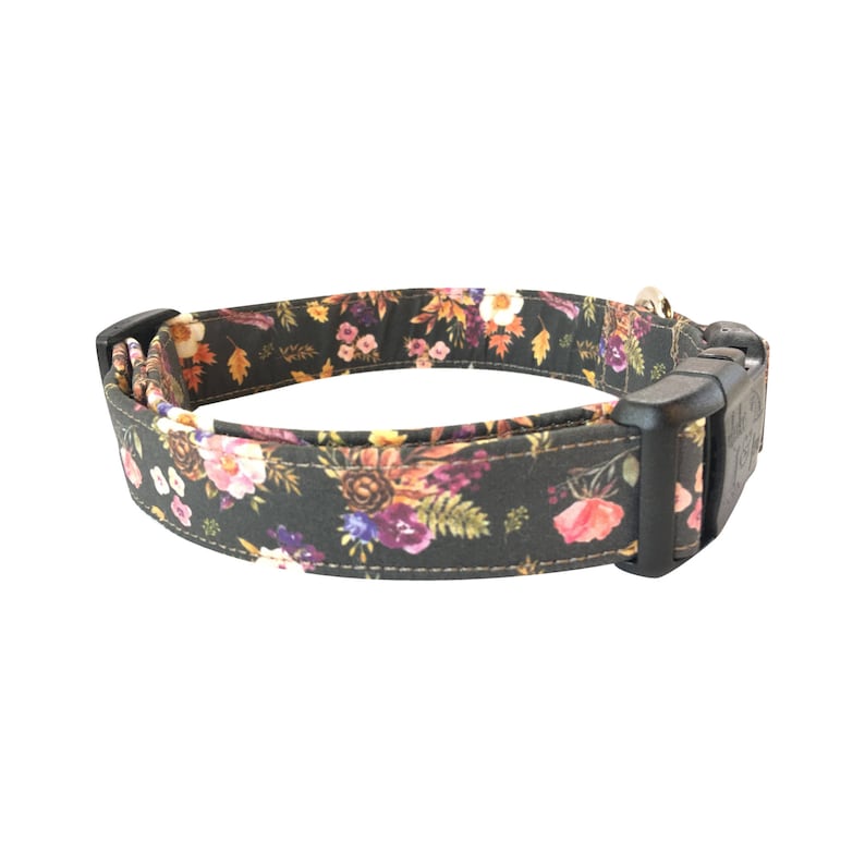 Fall Floral Dog Collar Embroidered Dog Collar Personalized Etsy