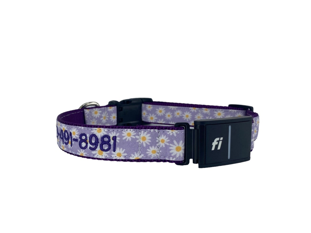 Series 3 Fi Dog Collar Compatible Collar, Embroidered Fi Dog Collar