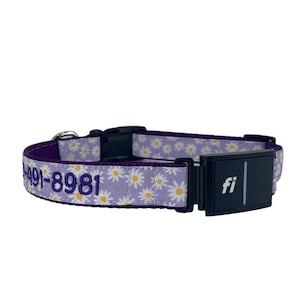 Fi Series 3+ and Fi Series 3 Compatible Dog Collar, Embroidered Fi Series 3/3+ Dog Collar, Fi Component must be purchased from Fi