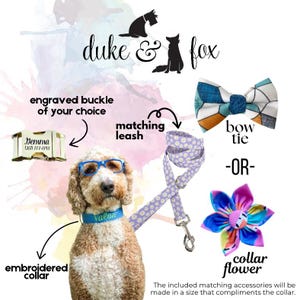 May include: A dog wearing blue glasses and a blue embroidered collar, accompanied by a daisy-patterned leash, a geometric-patterned bow tie, a colorful fabric collar flower, and a gold-toned metal buckle engraved with the name Gemma and a phone number.