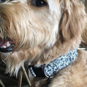 May include: A dog collar featuring a black and white pattern of various Halloween-themed illustrations including ghosts, pumpkins, and bats. The collar has a black plastic buckle and a silver metal D-ring for attaching a leash or identification tags.