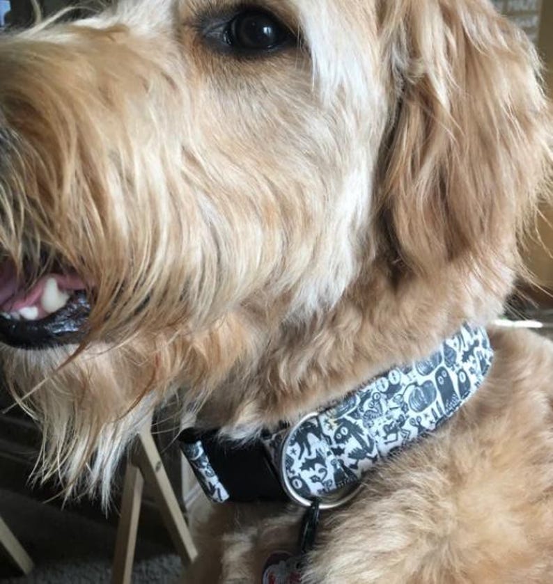 May include: A dog collar featuring a black and white pattern of various Halloween-themed illustrations including ghosts, pumpkins, and bats. The collar has a black plastic buckle and a silver metal D-ring for attaching a leash or identification tags.
