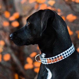 Embroidered Dog Collar by Duke and Fox. Custom Dog Collar. Engraved Dog Collar. Personalized Dog Collar by Duke & Fox. Dog Collar with Name and Phone number. Dog ID. Black lab modeling black gingham collar with orange thread.