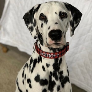 This stylish Dalmatian shows off the Duke & Fox® Red Buffalo Plaid Dog Collar — a timeless look for any pup. Handmade in Tennessee, this personalized collar combines durable nylon with cozy flannel-style fabric and custom embroidery for your dog’s name or phone number. The bold red and black plaid stands out beautifully against any coat, adding charm and function for everyday wear.